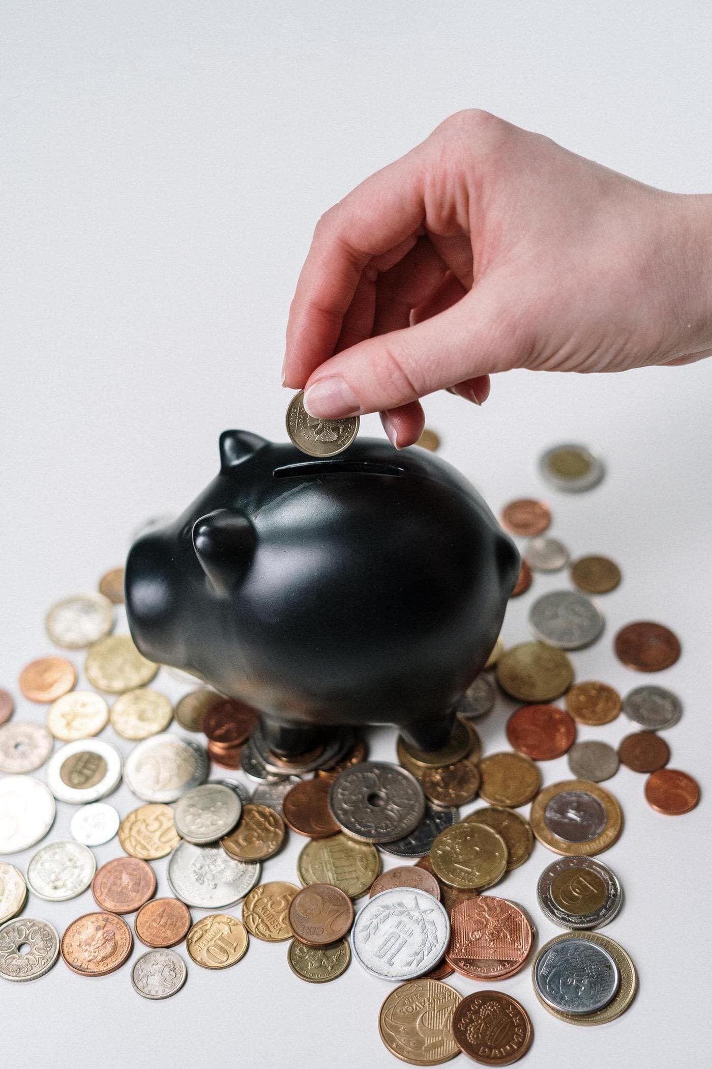 person-holding-black-ceramic-pig-coin-bank-3943723